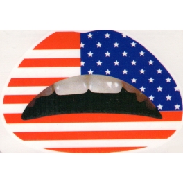 U.S.A. vlag  Lipsticker Budget
