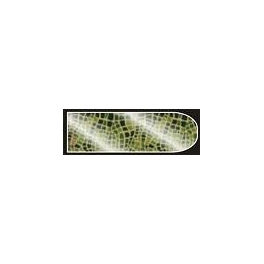 Nagelsticker W147