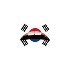 Zuid Korea vlag Lipsticker